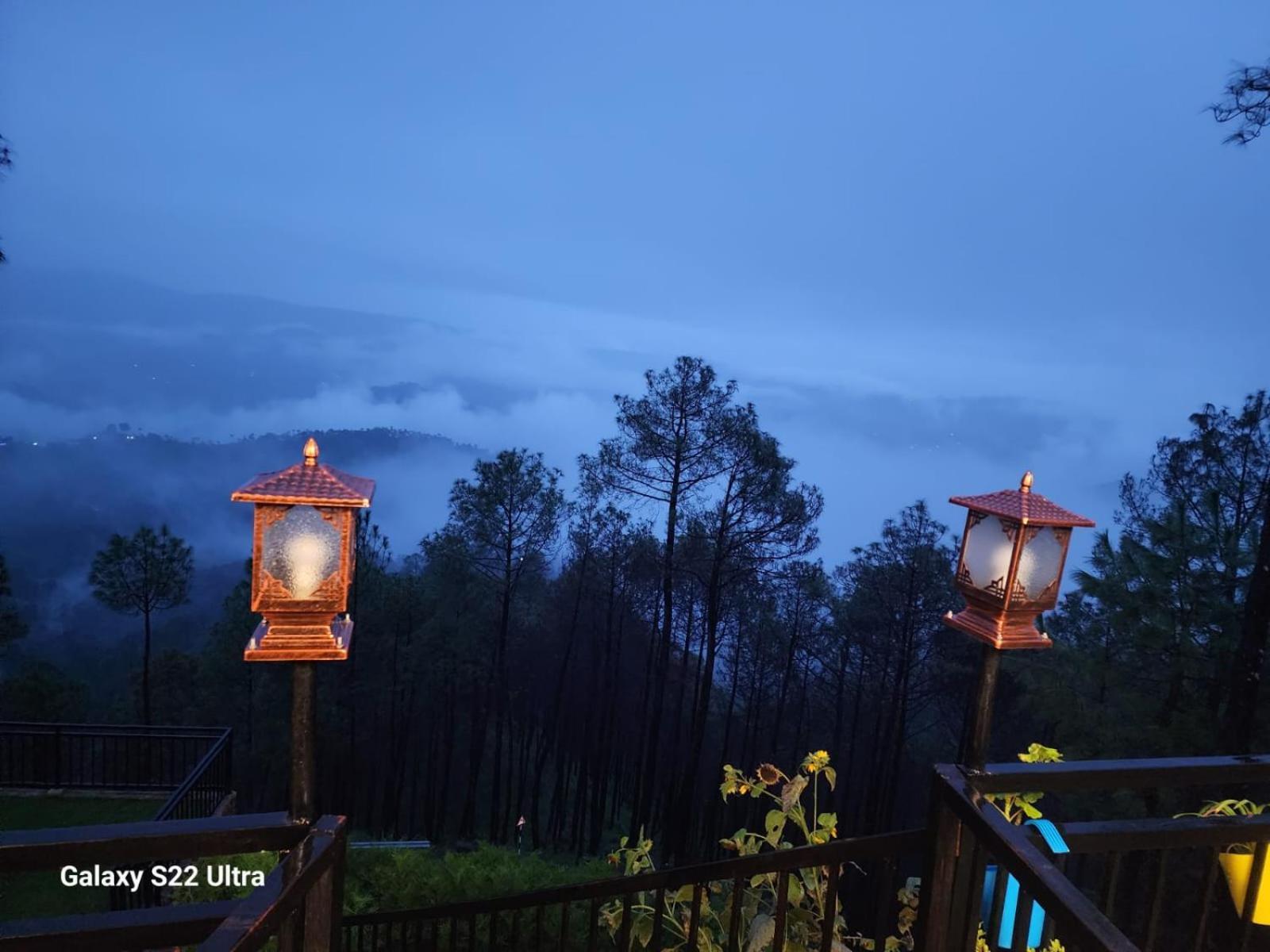 Nandini Cottage, A Premium Boutique Homestay رانيخت المظهر الخارجي الصورة
